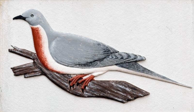 The Passenger Pigeon <i>(Ectopistes migratorius)</i> image. Click for full size.