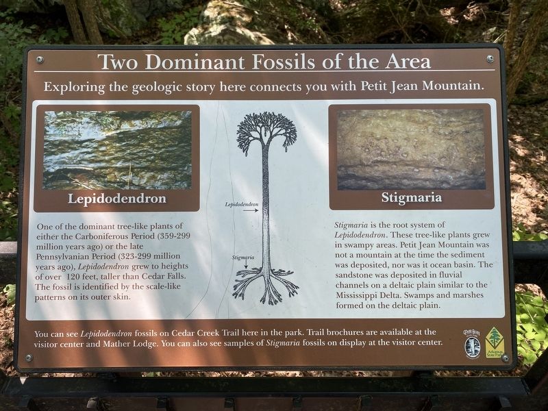 Two Dominant Fossils of the Area Marker image. Click for full size.