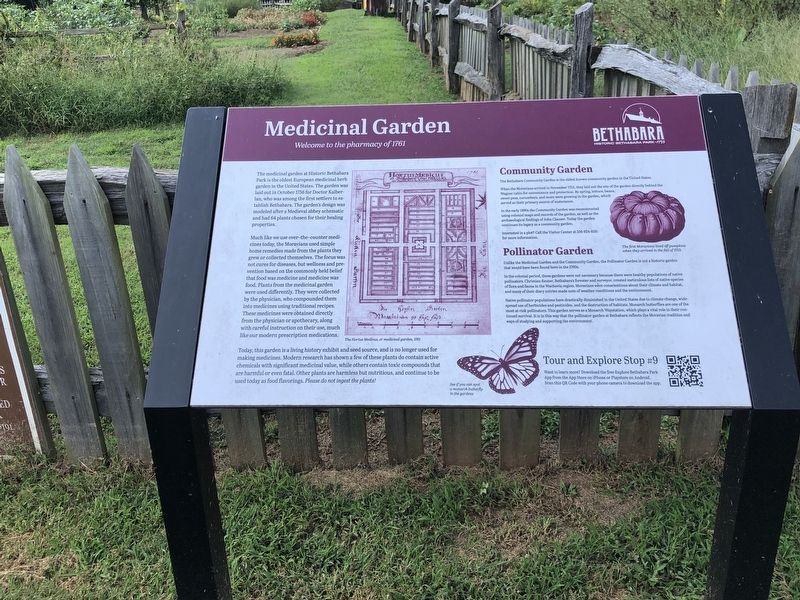 Medicinal Garden Marker image. Click for full size.