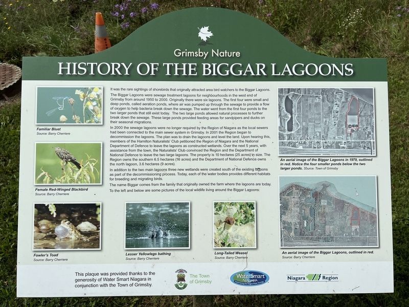 History of the Biggar Lagoons Marker image. Click for full size.