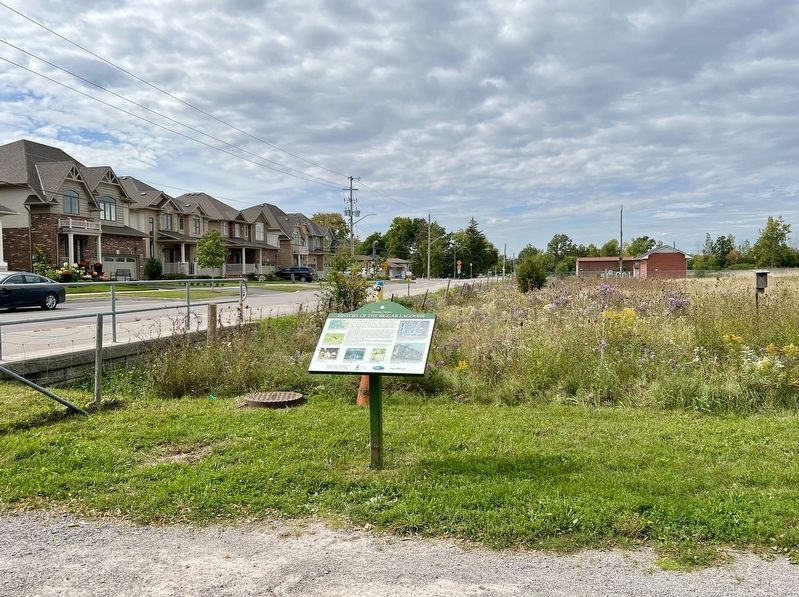 History of the Biggar Lagoons marker, facing west. Click for full size. History of the Biggar Lagoons marker, facing west image. Click for full size.