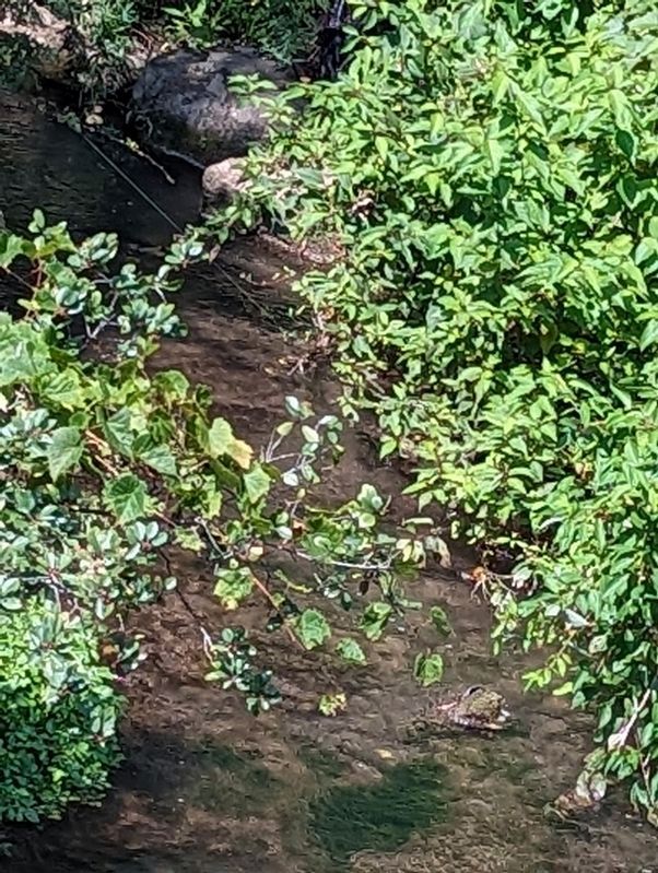 A view of the creek near the marker. Click for full size. A view of the creek near the marker image. Click for full size.
