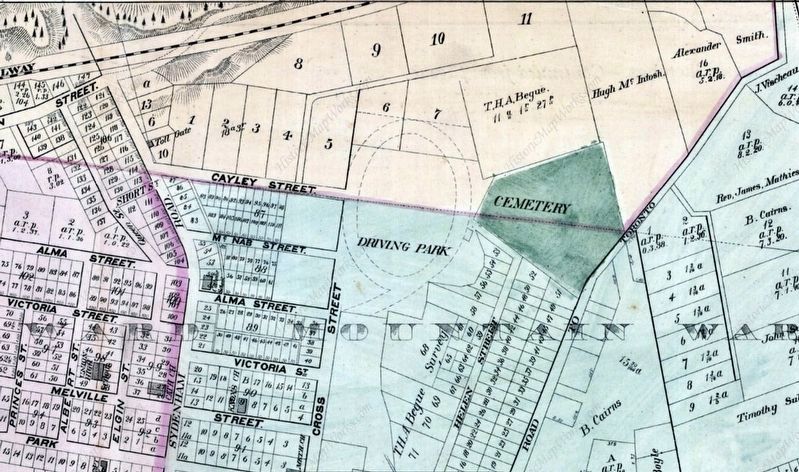 Dundas Driving Park as shown on an 1875 map of the Town image. Click for full size.
