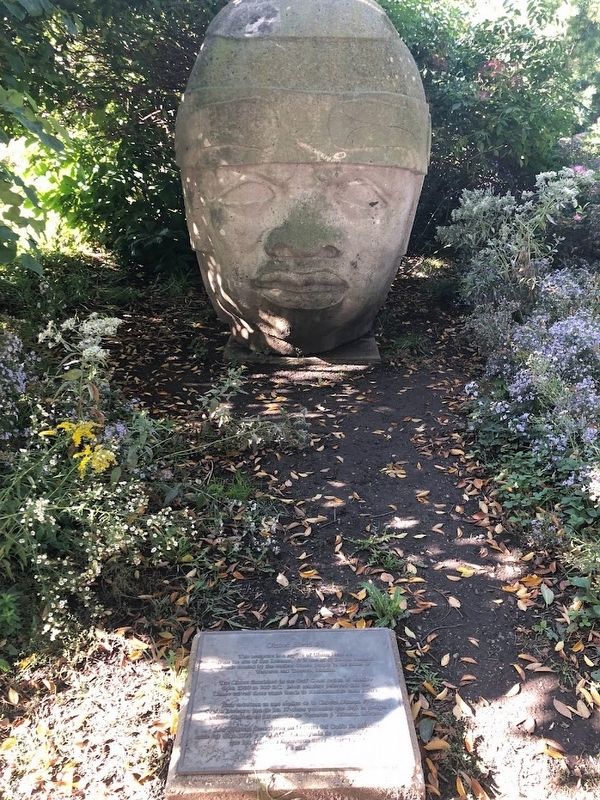 Replica Olmec Head #8, with marker in front. Click for full size. Replica Olmec Head #8, with marker in front image. Click for full size.