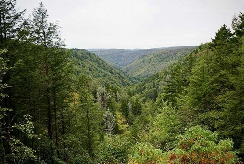 Blackwater Gorge image. Click for full size.