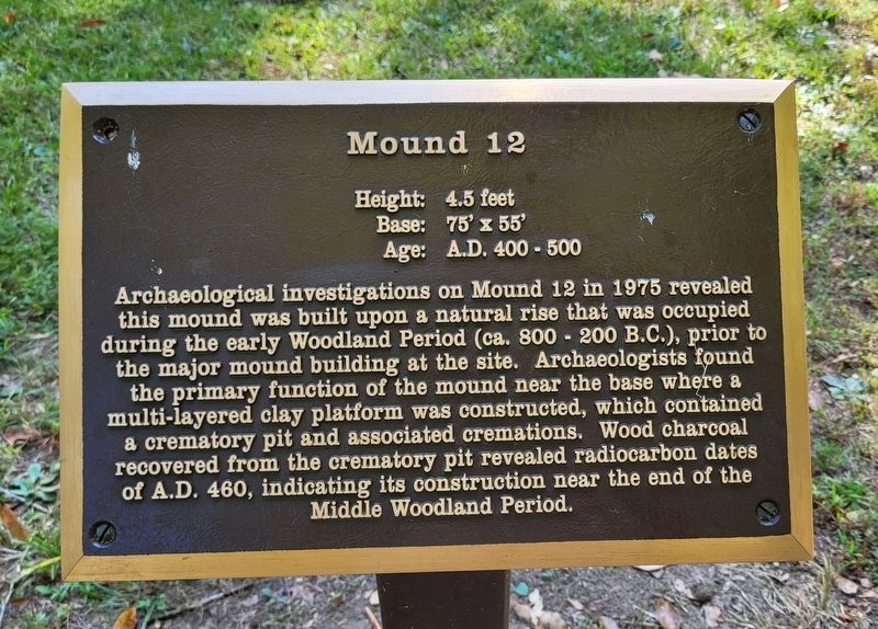 Mound 12 Marker image. Click for full size.