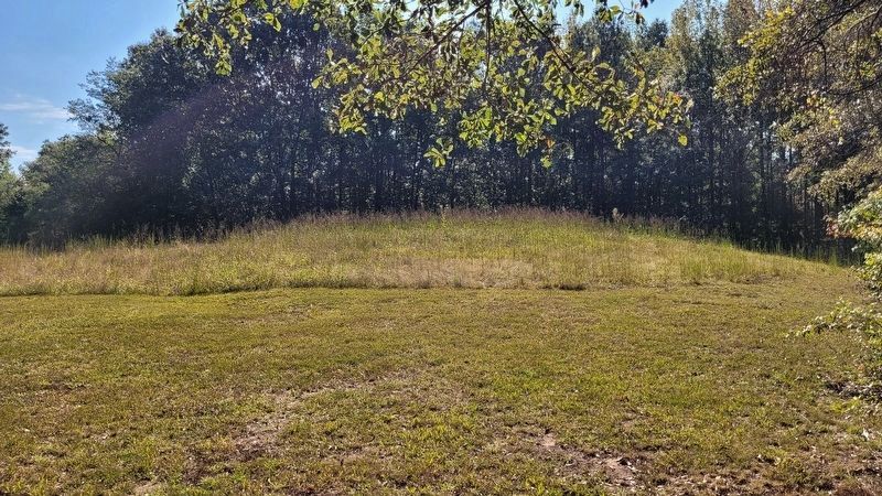 The view of Mound 12 from the marker and past the trees image. Click for full size.