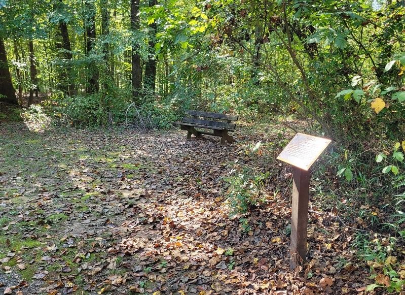 The Mound 15 Marker along the trail image. Click for full size.