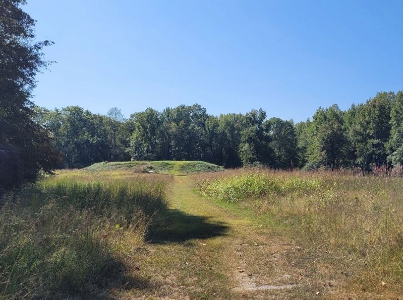Mound 29 and the markers at the end of the field image. Click for full size.