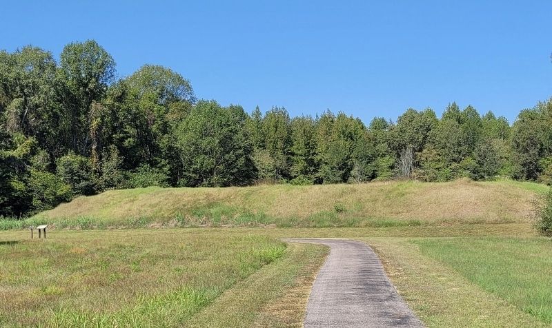 Mound 28 and markers image. Click for full size.