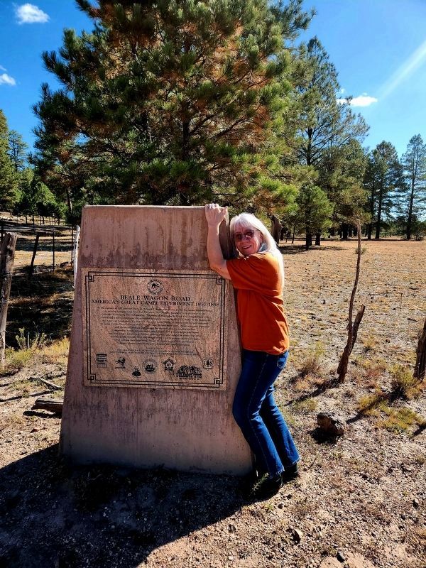 Beale Wagon Road Marker image. Click for full size.