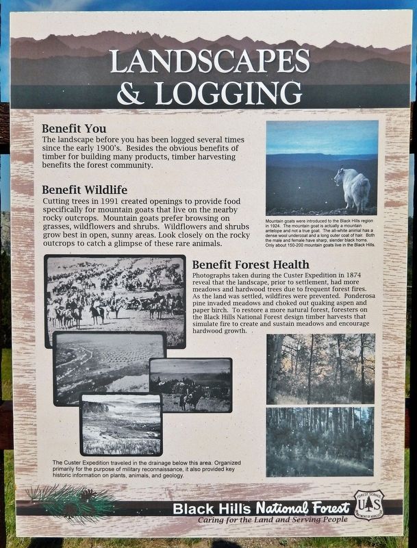 Landscapes & Logging Marker image. Click for full size.