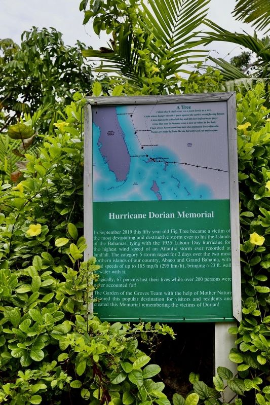 Hurricane Dorian Memorial Marker image. Click for full size.