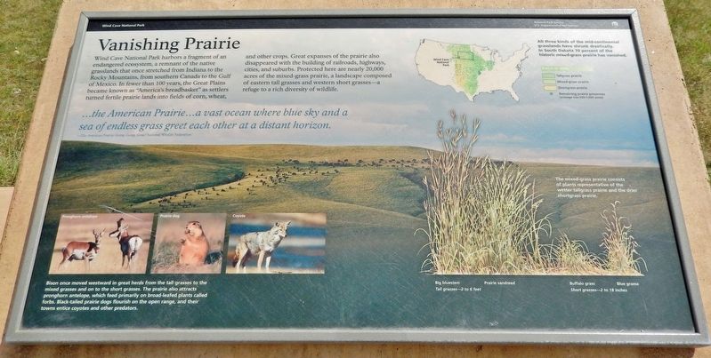 Vanishing Prairie Marker image. Click for full size.