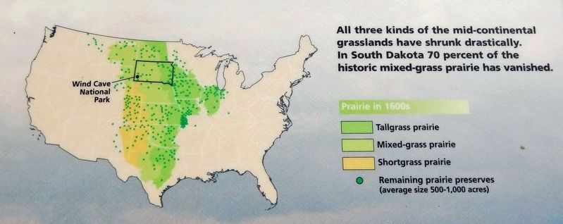 Marker detail: Prairie in the 1600s versus today image. Click for full size.