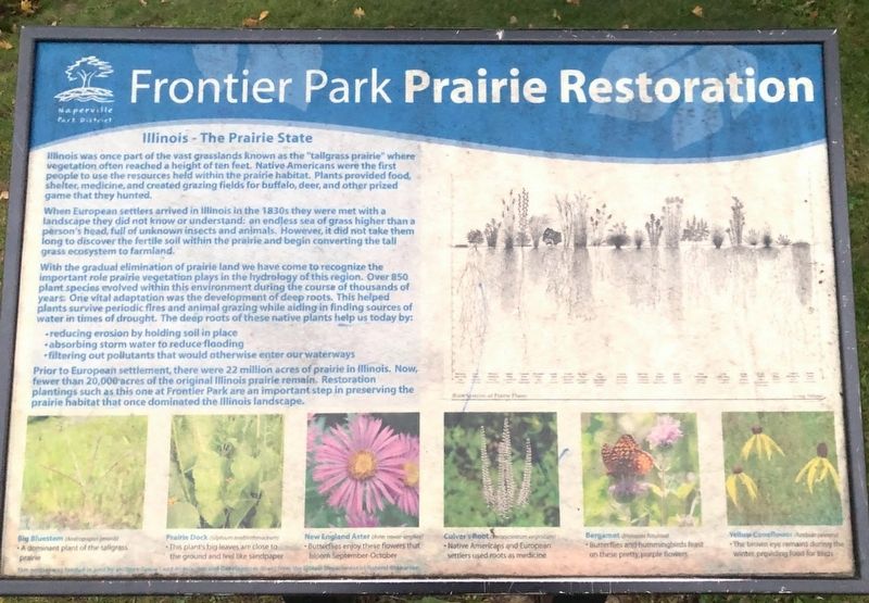 Frontier Park Prairie Restoration Marker image. Click for full size.