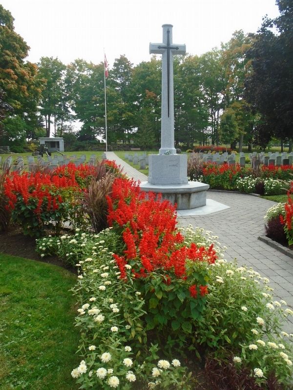 Cross of Sacrifice in the Field of Honour image. Click for full size.
