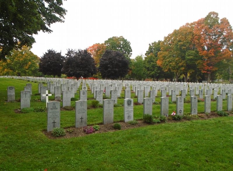 Veterans Field of Honour (Section 27) image. Click for full size.