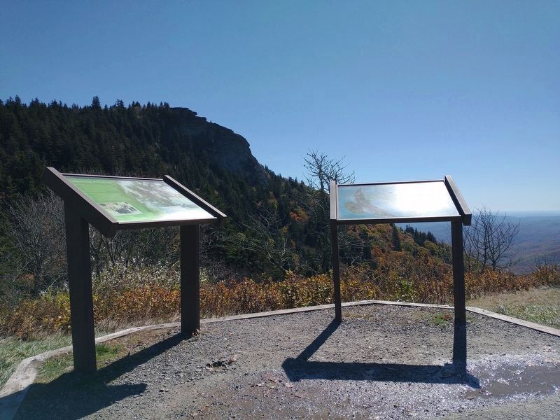 Restoring A Forest Marker image. Click for full size.