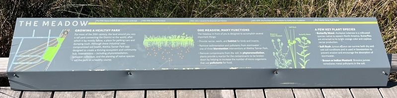 The Meadow Marker. Click for full size. The Meadow Marker image. Click for full size.