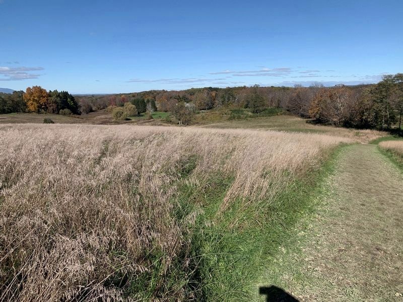 Looking East from Burger Hill Towards Wurtemberg Road image. Click for full size.