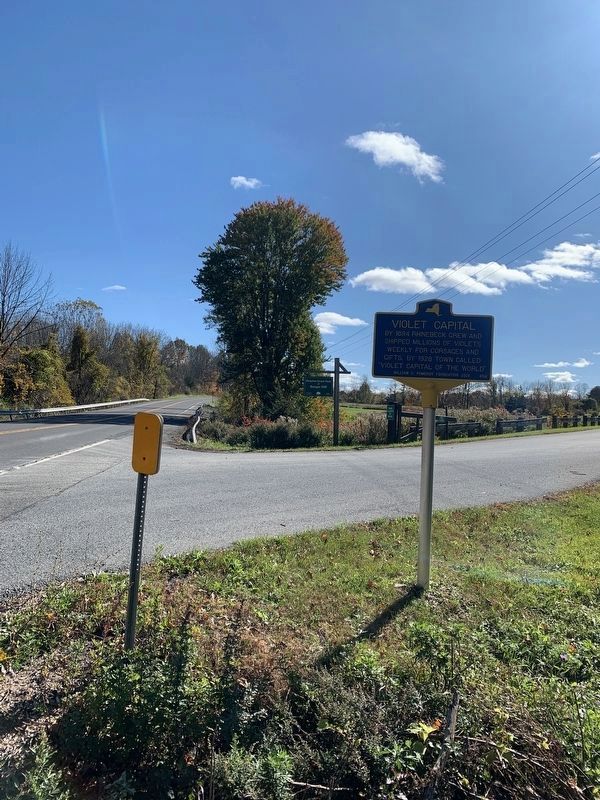 Entrance to Drayton Grant Park at Burger Hill Marker image. Click for full size.
