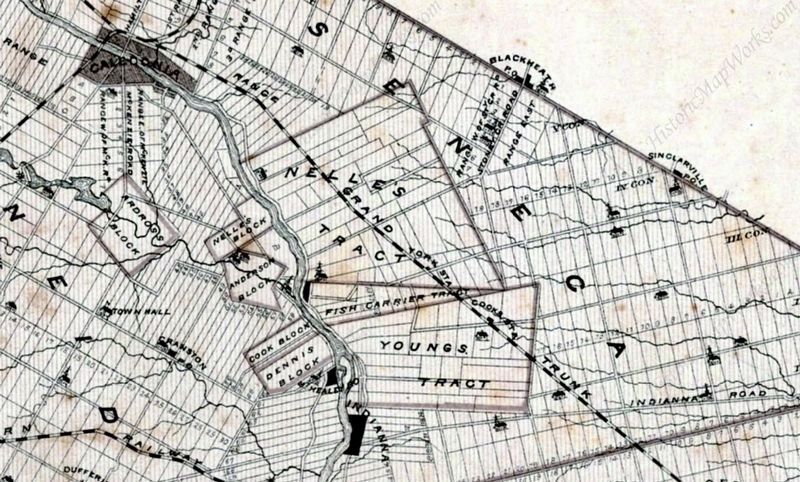 Youngs Tract shown on a map of Haldimand County, 1879. Click for full size. Youngs Tract shown on a map of Haldimand County, 1879 image. Click for full size.