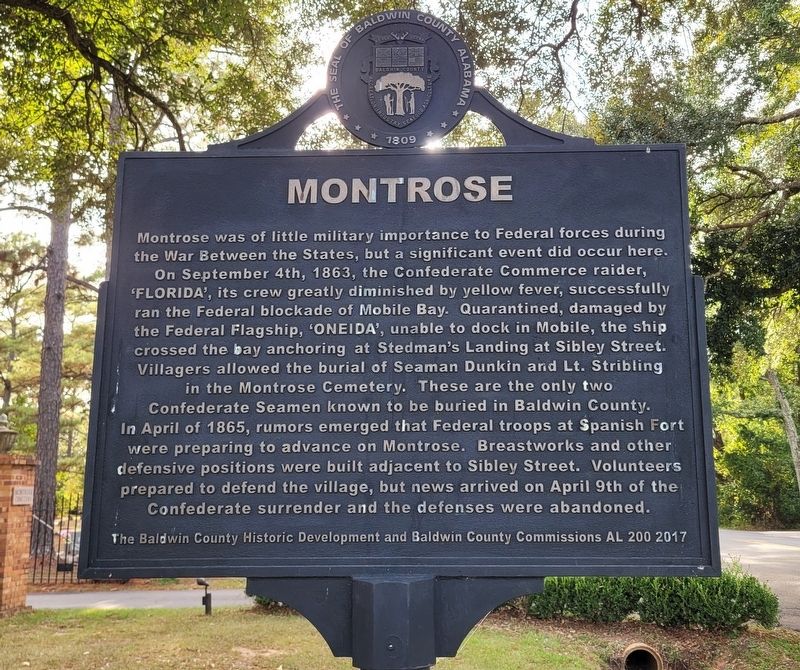 The Montrose side of the marker image. Click for full size.