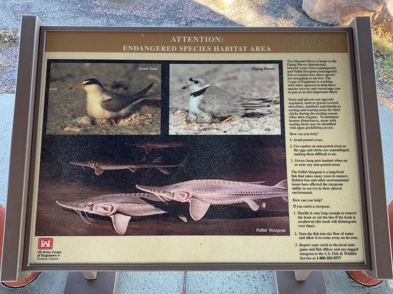 Endangered Species Habitat Area Marker, nearby image. Click for full size.