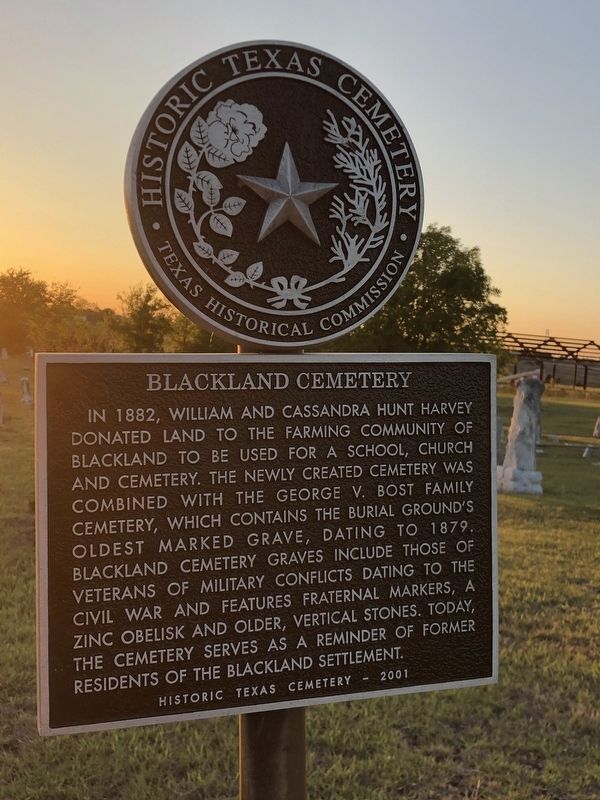 Blackland Cemetery Marker image. Click for full size.