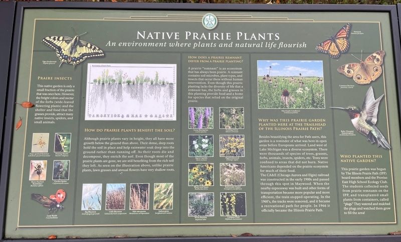 Native Prairie Plants Marker image. Click for full size.