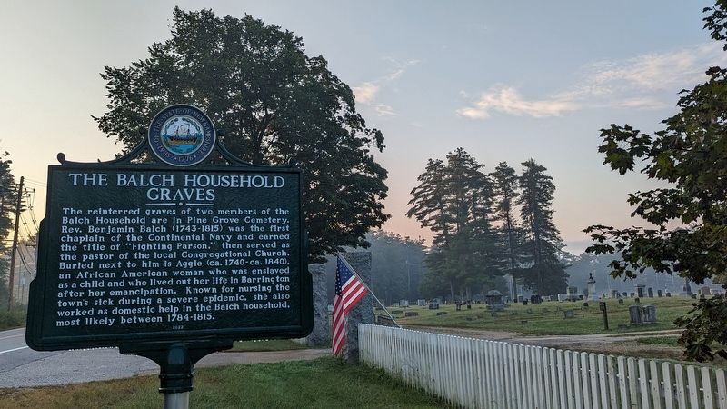 The Balch Household Graves Marker image. Click for full size.