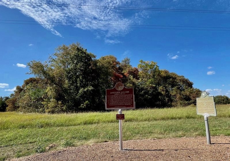 Jaketown Mounds Marker with mounds in background. image. Click for full size.