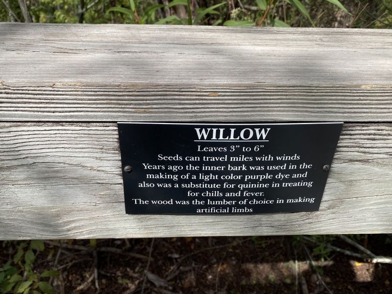 Willow Marker image. Click for full size.