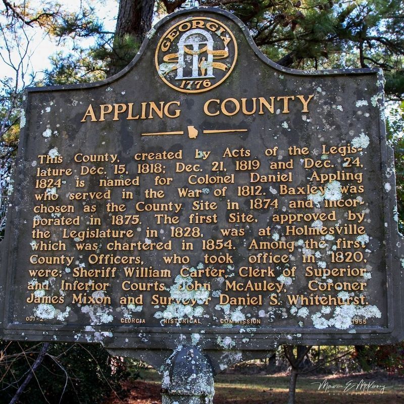 Appling County Marker image. Click for full size.