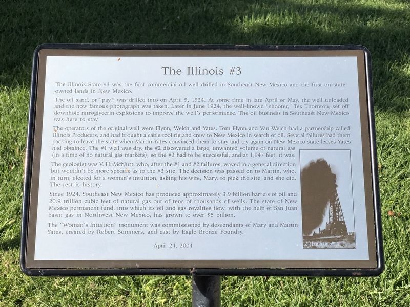 The Illinois #3 Marker image. Click for full size.