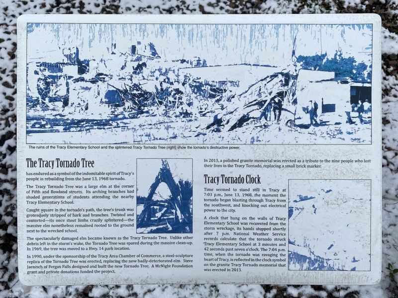 The Tracy Tornado Tree / Tracy Tornado Clock Marker image. Click for full size.