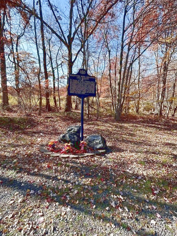 The marker as seen from Schoolhouse Road. Click for full size. The marker as seen from Schoolhouse Road image. Click for full size.