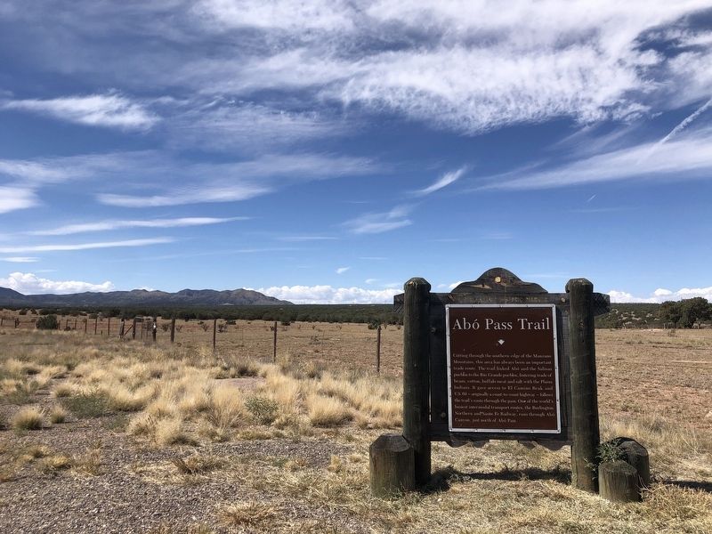 Ab� Pass Trail Marker image. Click for full size.