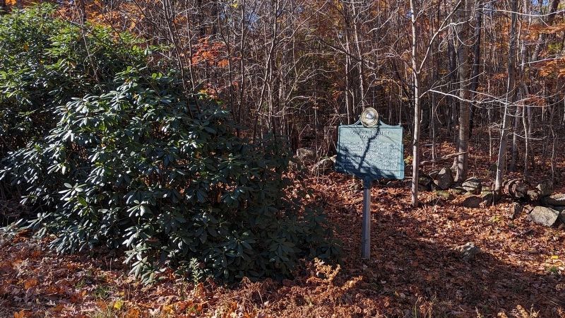 Dudley Leavitt marker and the really big Rhododendron. Click for full size. Dudley Leavitt marker and the really big Rhododendron image. Click for full size.