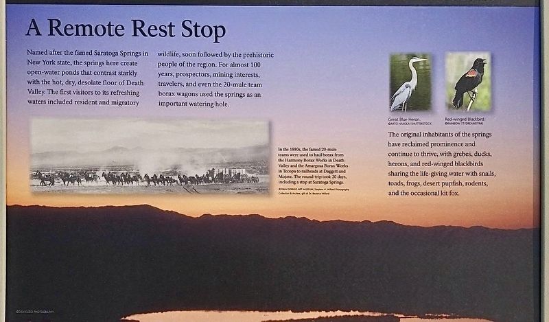 Saratoga Springs Marker. Click for full size. Saratoga Springs Marker image. Click for full size.