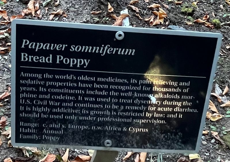 <i>Papaver somniferum</i> Marker. Click for full size. <i>Papaver somniferum</i> Marker image. Click for full size.
