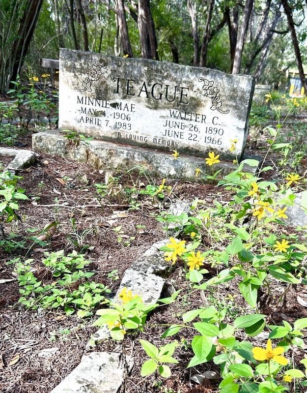 Teague family graves. image. Click for full size.