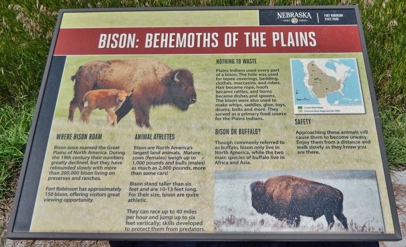 Bison: Behemoths of the Plains Marker image. Click for full size.