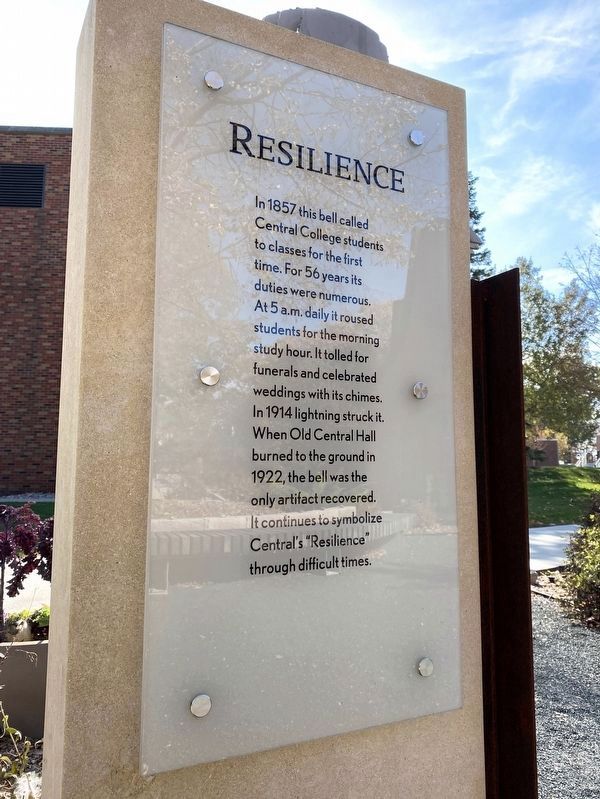 Resilience Marker. Click for full size. Resilience Marker image. Click for full size.