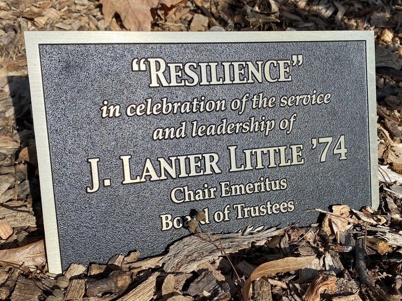 "Resilience" Dedication Marker image. Click for full size.
