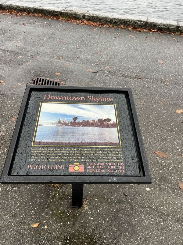 Downtown Skyline Marker image. Click for full size.