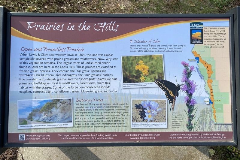 Prairies in the Hills Marker image. Click for full size.