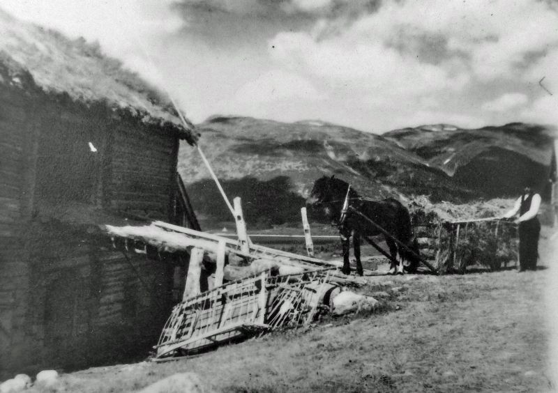 Marker detail: Farmer in Rauland, Norway. Click for full size. Marker detail: Farmer in Rauland, Norway image. Click for full size.