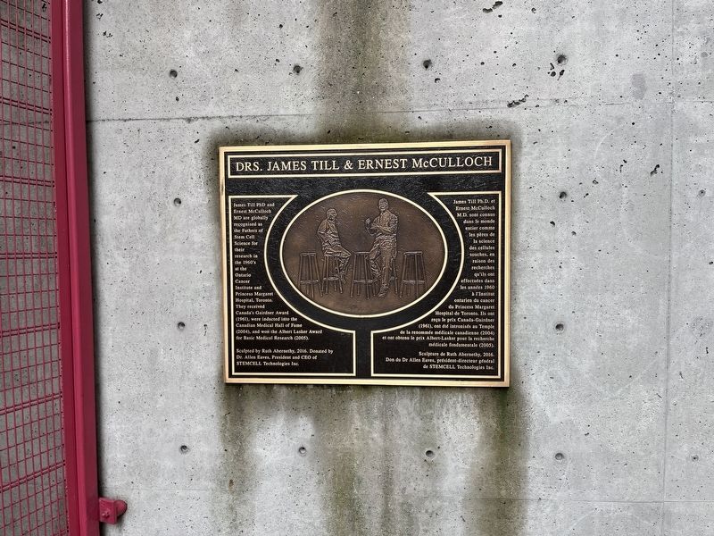 Drs. James Till & Ernest McCulloch Marker image. Click for full size.